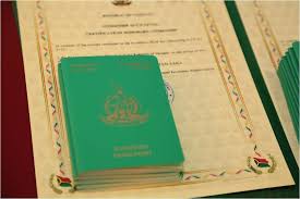 Understanding the Costs of Obtaining a Vanuatu Passport 879950221
