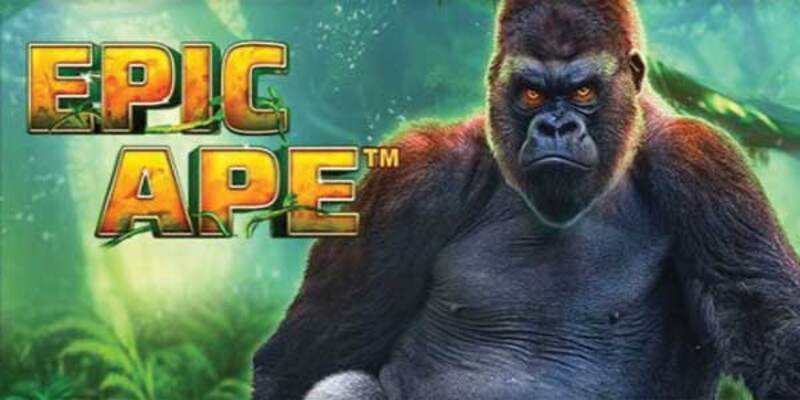 Les stratégies gagnantes pour Epic Ape, epic ape slot review