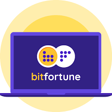 Bitfortune A Guide for Casual Players