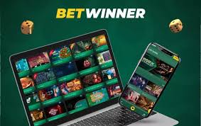 Placing Bets on BetWinner Cameroon A Comprehensive Guide 1959542878