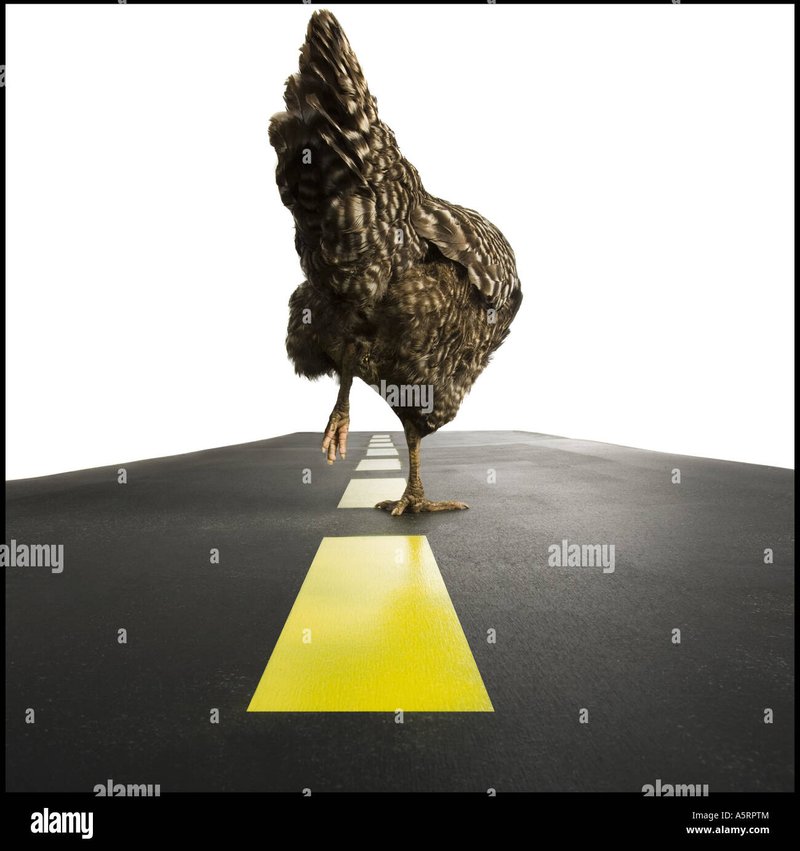 Descubre el Exclusivo Juego de Azar de Chicken Road en España - overview