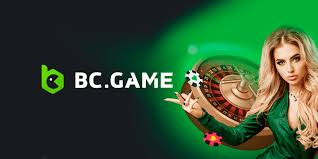 Comprehensive Guide to BC.Game Payment Methods
