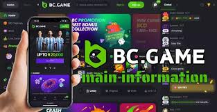 Understanding BC.Game JP Payments A Comprehensive Guide 588910223 Understanding BC.Game JP Payments A Comprehensive Guide 588910223