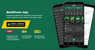 Everything You Need to Know About BetWinner Everything You Need to Know About BetWinner