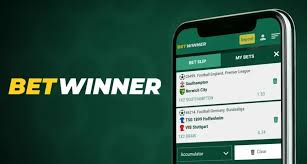 Experience Unmatched Excitement at BetWinner Casino Experience Unmatched Excitement at BetWinner Casino