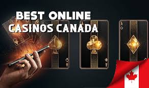 Top 5 Online Casinos for an Unforgettable Gaming Experience